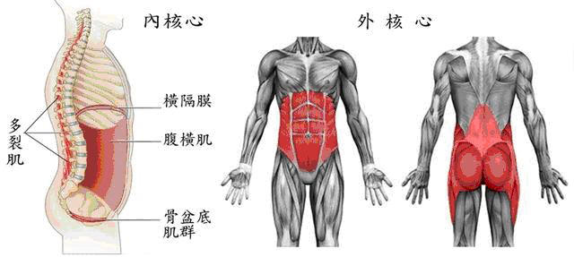 6個核心訓練動作，讓你的身體更直硬，提高運動表現力