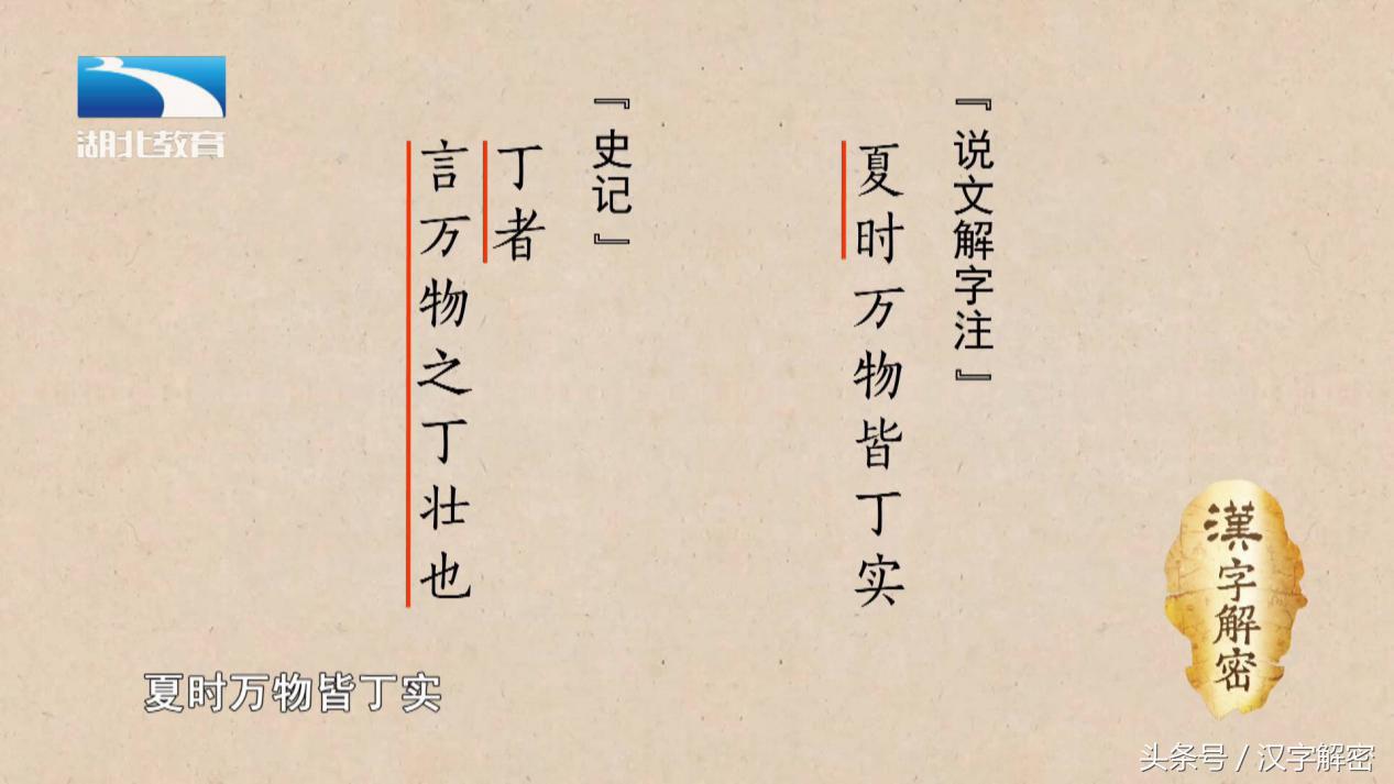 汉字解密｜丁： 简单的笔画却有多种意义  别小看了“丁”字哦