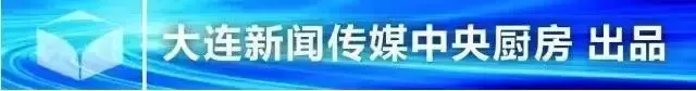 大连市车辆违章查询,大连市车辆违章查询官方网站