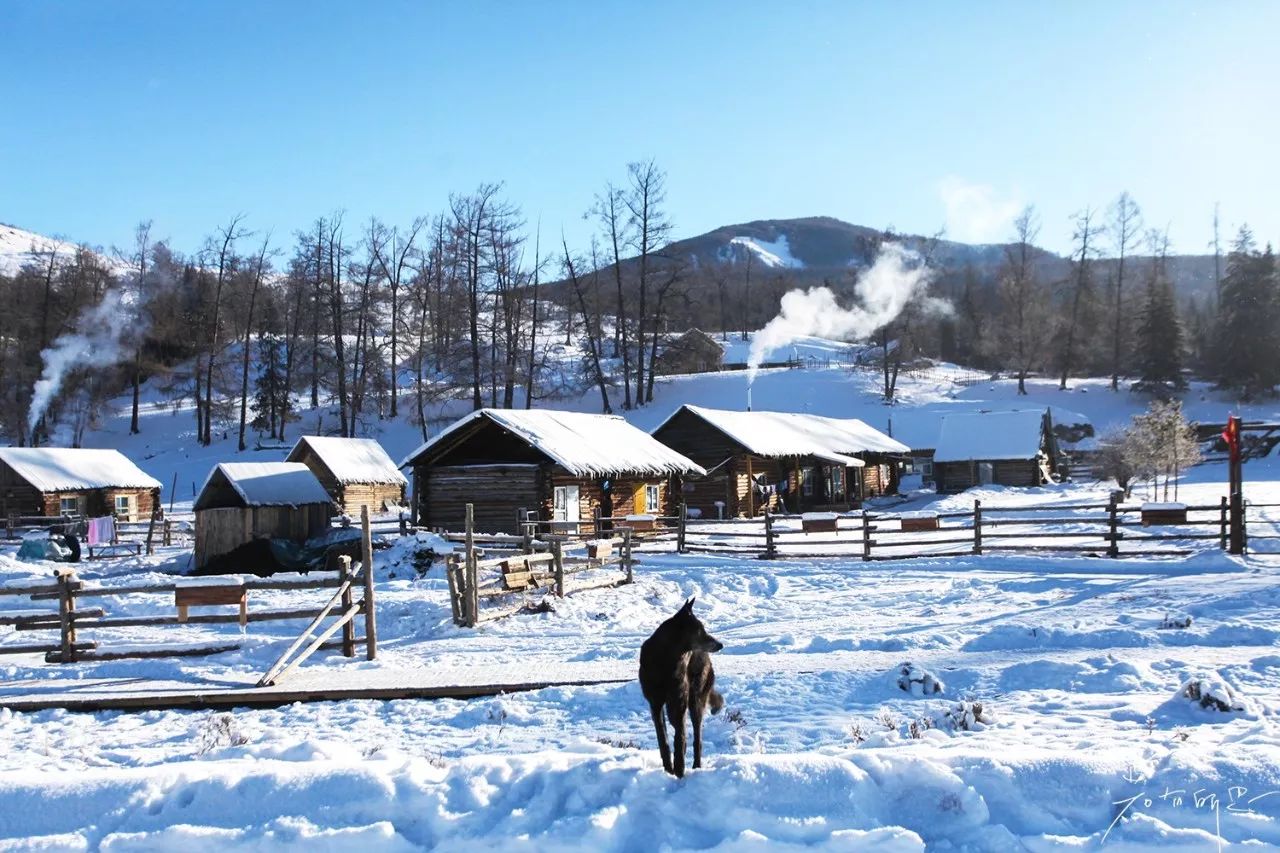 雪地足球比赛美篇(人间仙境喀纳斯，极少数人能看到的冬日雪景，美爆了！)