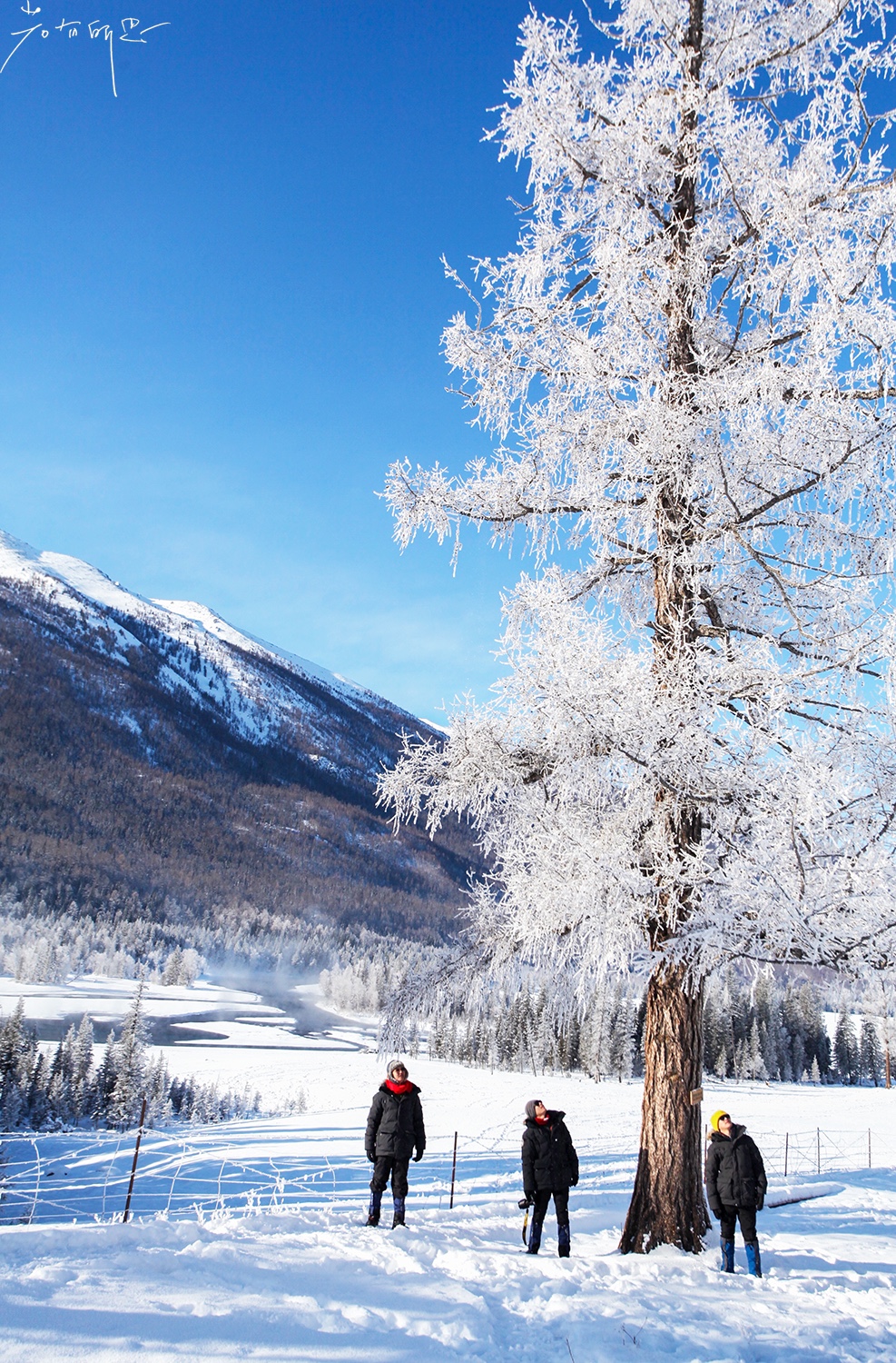 雪地足球比赛美篇(人间仙境喀纳斯，极少数人能看到的冬日雪景，美爆了！)