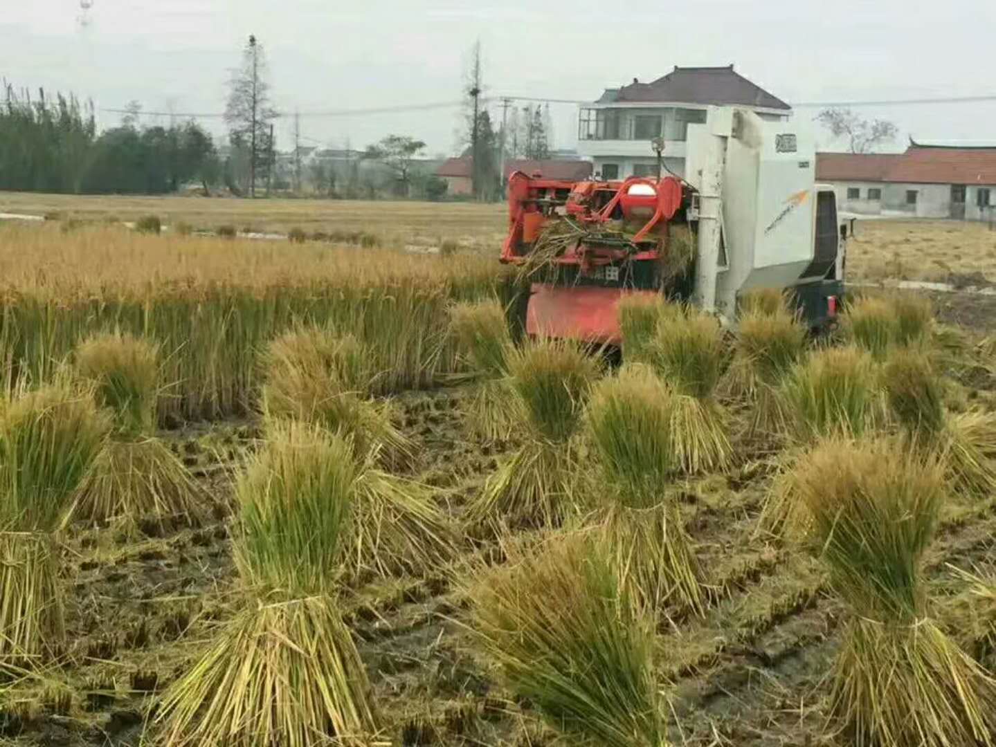 14年的约翰迪尔554拖拉机买回来干自己家的几十亩水田应该没问题