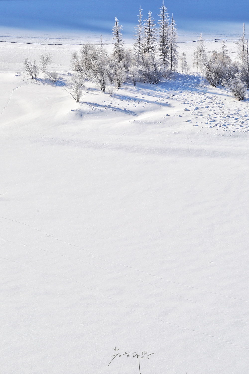 雪地足球比赛美篇(人间仙境喀纳斯，极少数人能看到的冬日雪景，美爆了！)