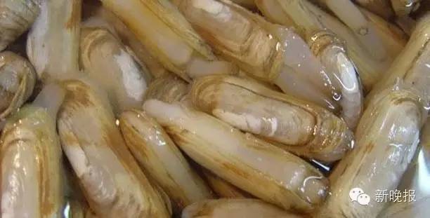 蛏(chēng)子此外,花蛤等贝类性寒,故脾胃虚寒者不宜多吃.