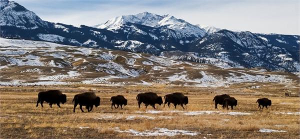 比特币矿场“逐电而居” 蒙大拿州因廉价电力受青睐