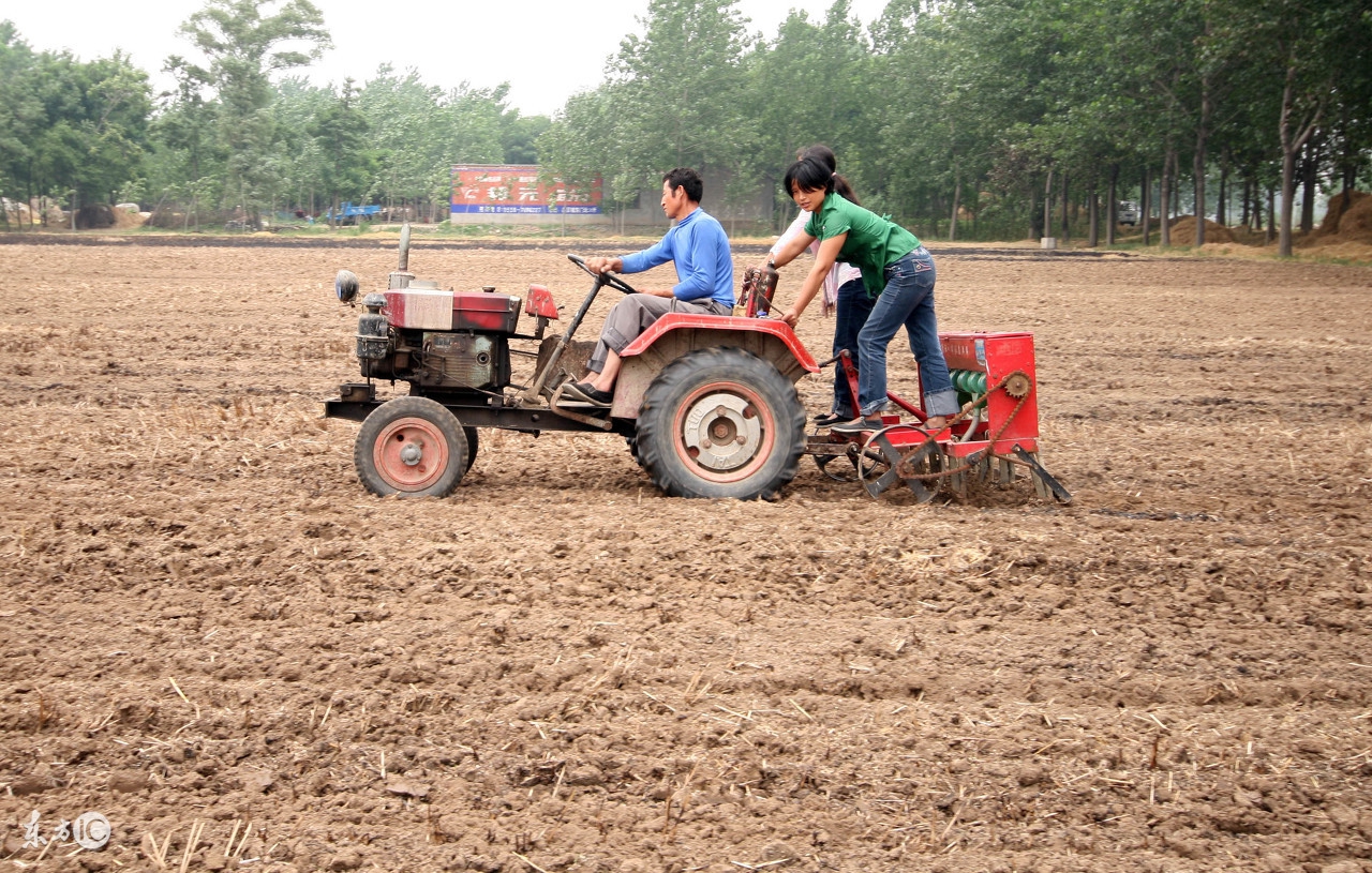 農(nóng)業(yè)部公布拖拉機(jī)管理新規(guī)，純農(nóng)田拖拉機(jī)無需買交強(qiáng)險(xiǎn)，新機(jī)免檢