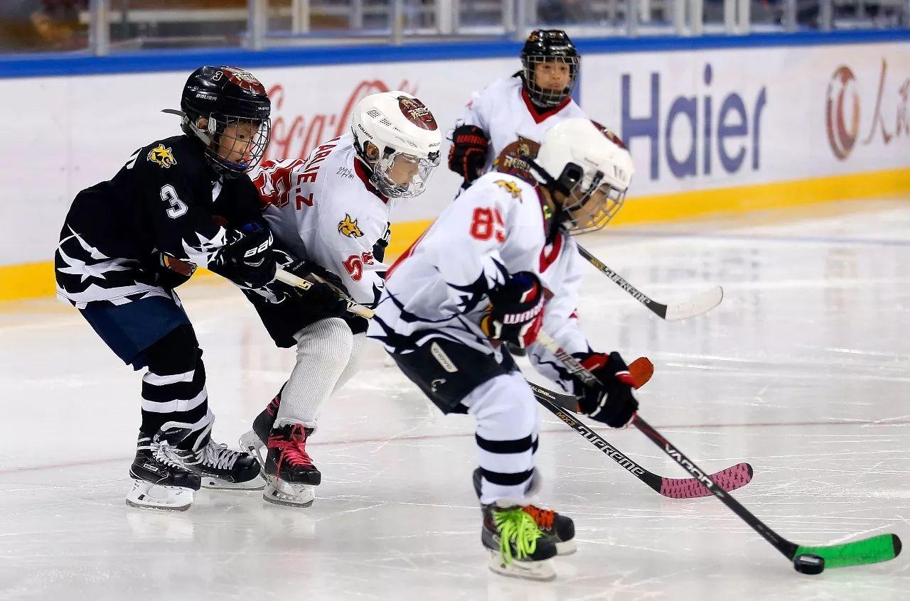 滑冰║你不知道的超全超详细冰刀鞋选择及保养知识