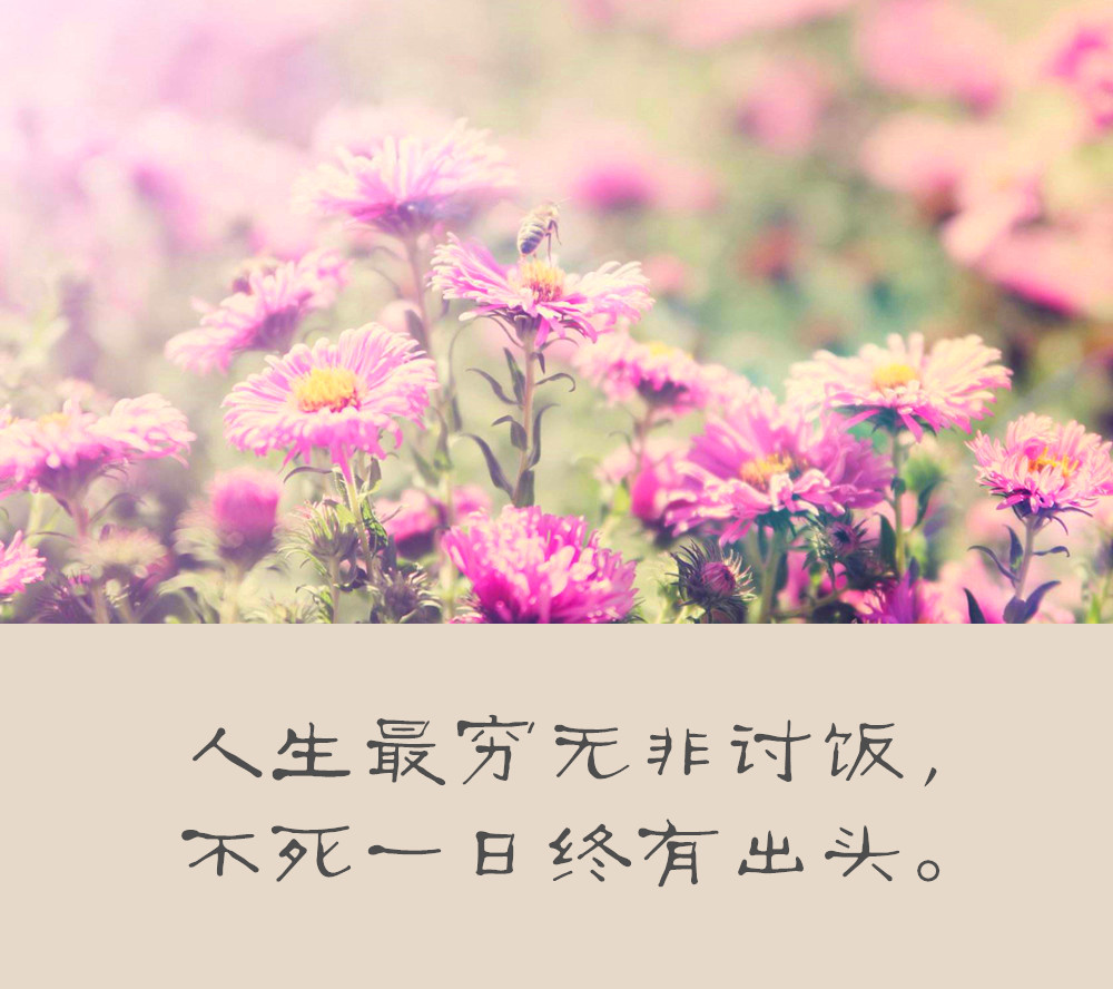 落魄时的孤独与无助：当生活失去方向，内心渴望温暖与希望的微光。