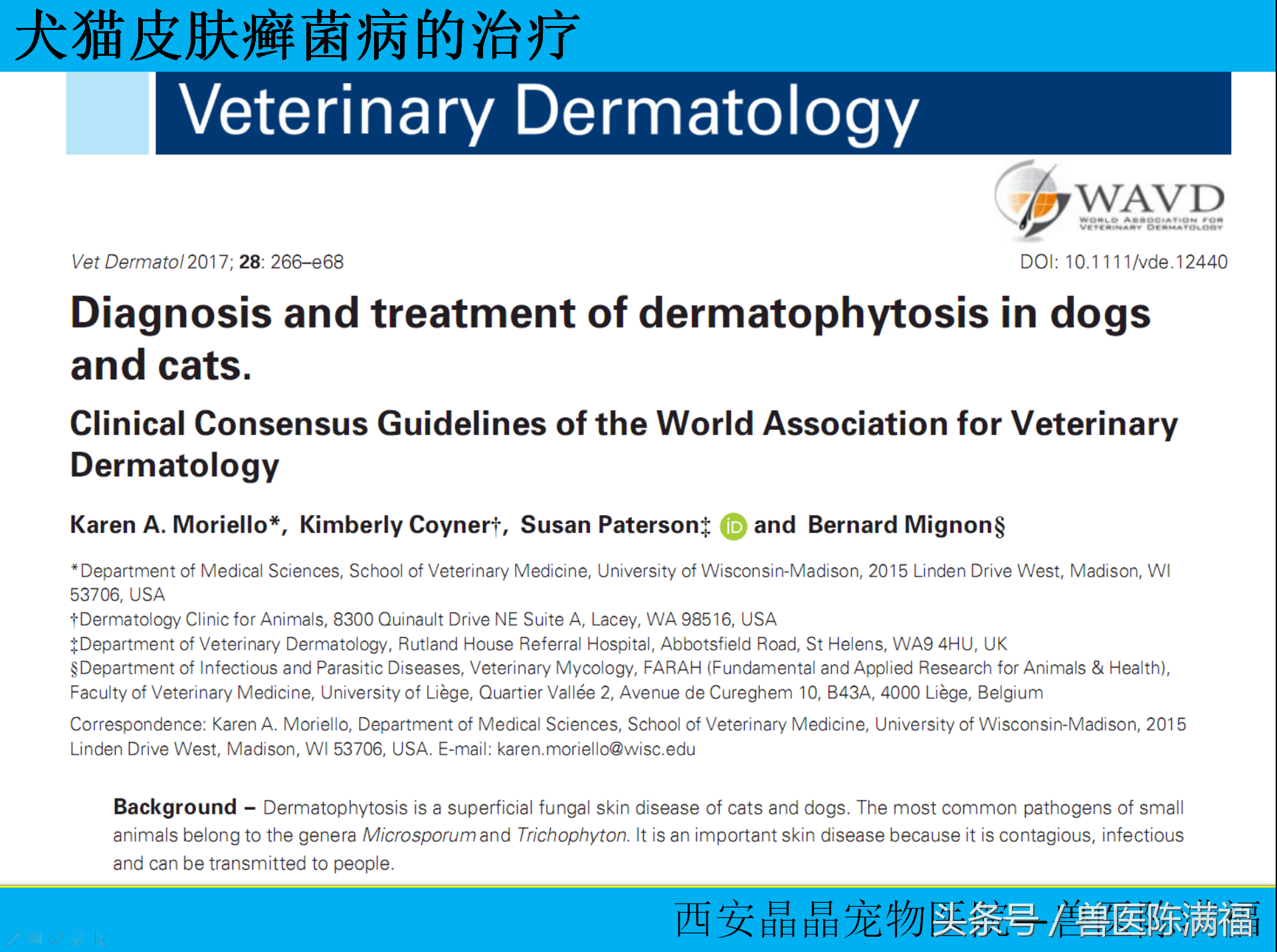 国际小动物皮肤病协会公认的犬猫癣菌的标准治疗方法