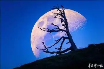 月亮为什么会有阴晴圆缺