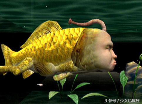 四,人面鱼如果你在吃章鱼时发现长有人面的章鱼