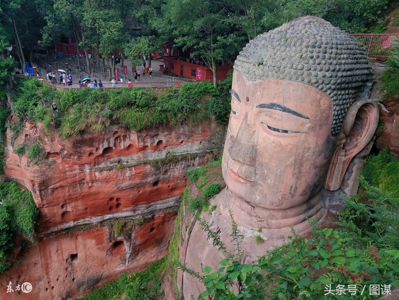 乐山大佛多少米高（乐山大佛）-第2张图片-昕阳网