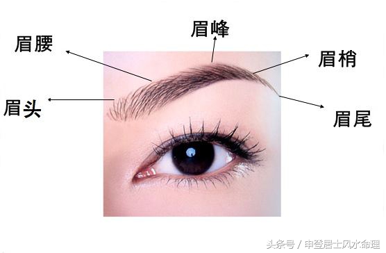 会化妆的女人更好命：面相玄学之眉毛篇，眉形如何画好才显贵？