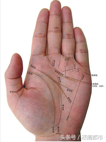 一分钟教会你看手相！