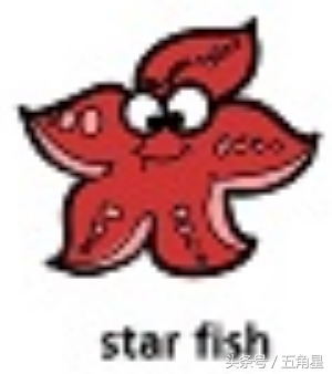 42个动物的英语单词！dolphin？lion？starfish？你都认识吗？