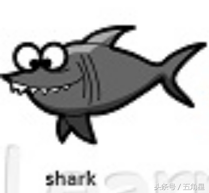 42个动物的英语单词！dolphin？lion？starfish？你都认识吗？