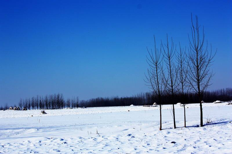 古诗词中写雪的句子，你知道多少？