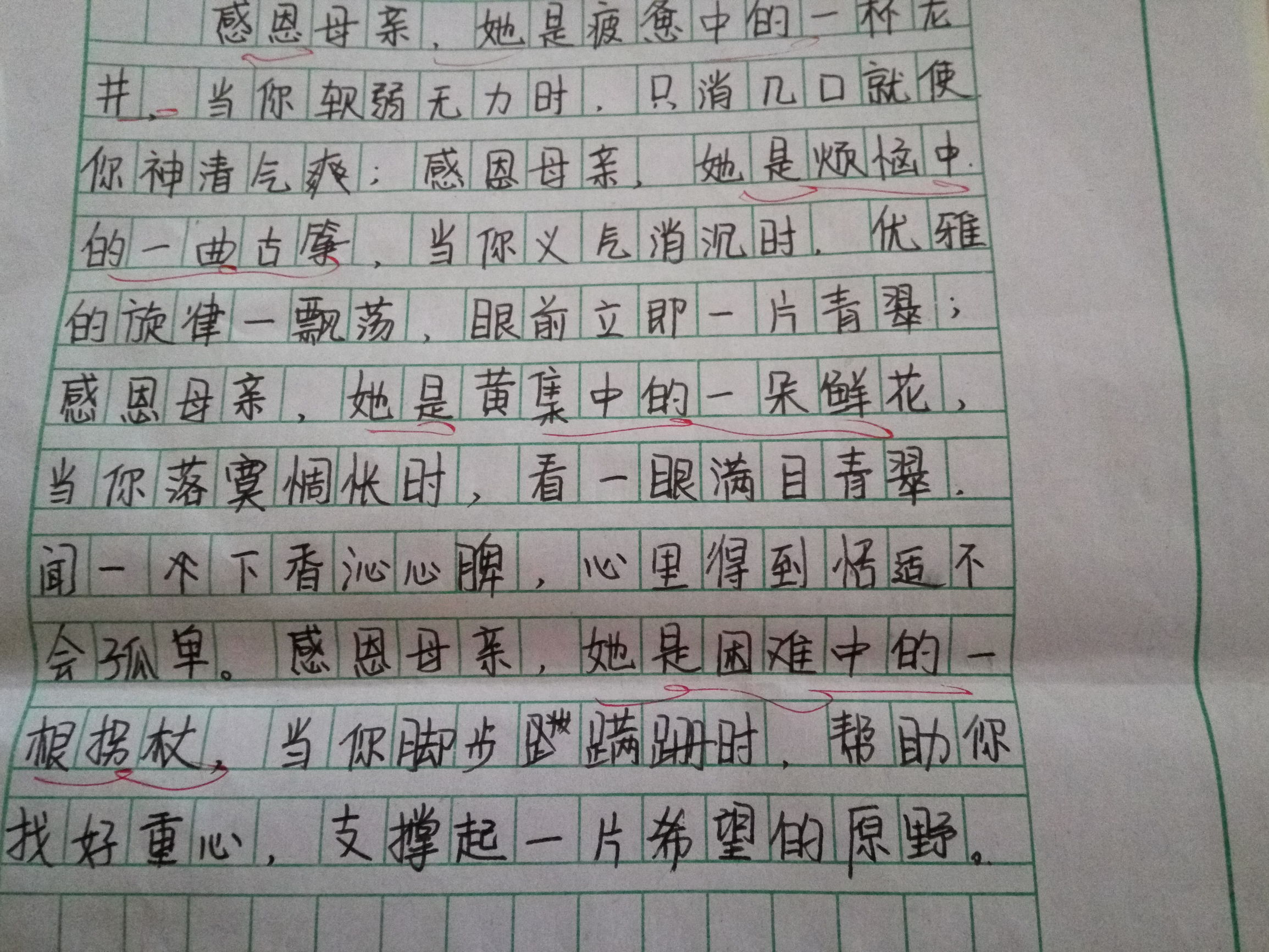 为你搜集学生习作中抒发母爱的语段