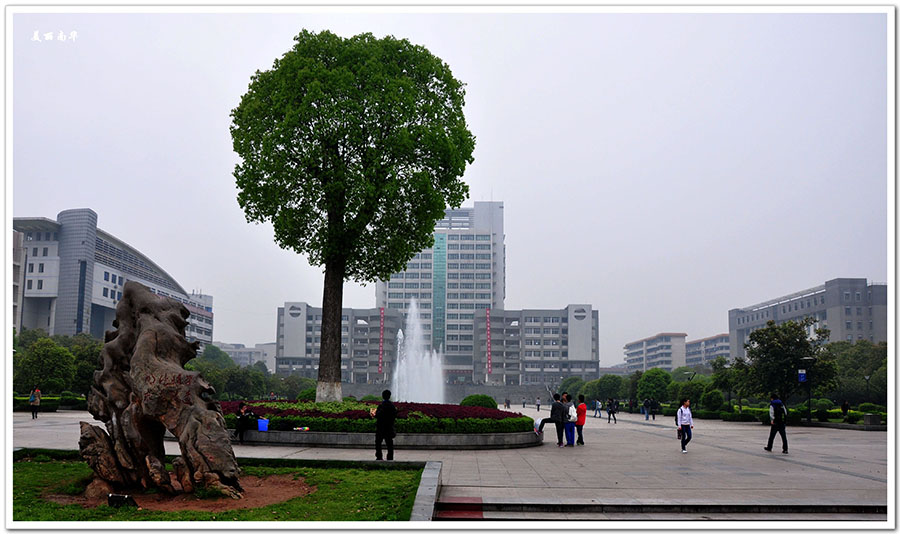 除了清华大学，还有四所叫华的大学