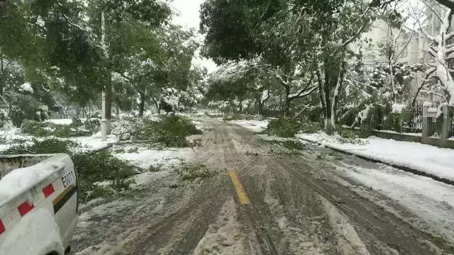 织里日结临时工招聘（湖州公安铁军抗击冰雪）