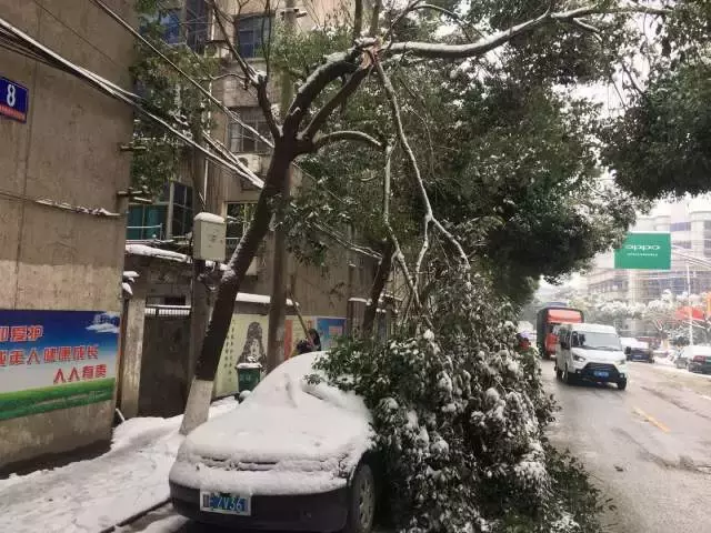 织里日结临时工招聘（湖州公安铁军抗击冰雪）