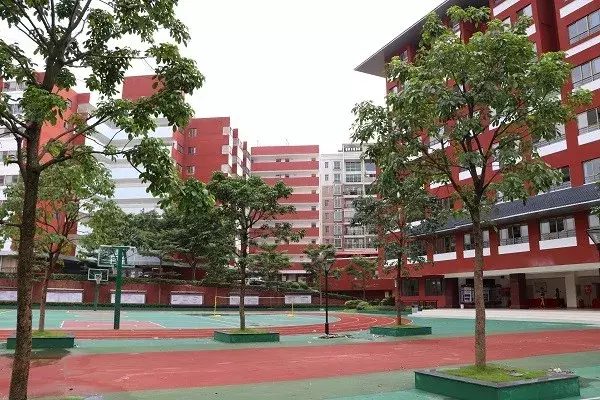 优质民办小学全解释：华南师范大学附属太和实验学校