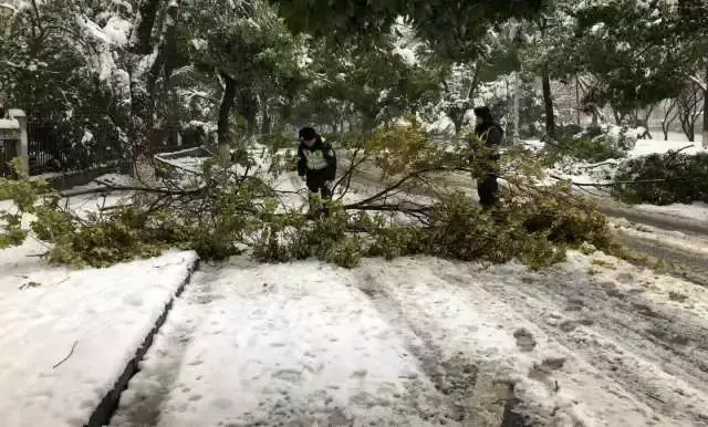 织里日结临时工招聘（湖州公安铁军抗击冰雪）