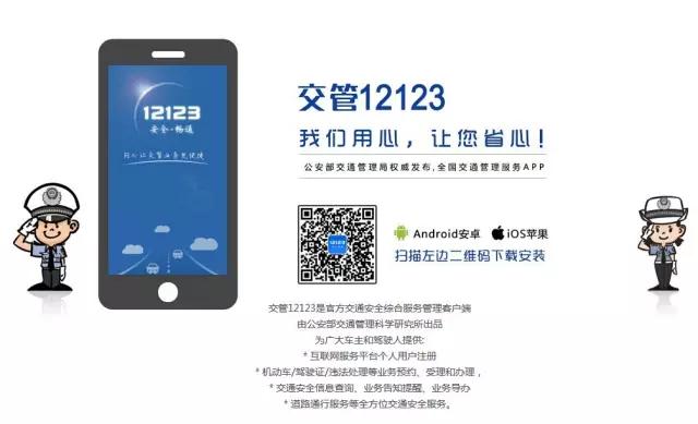 周口交通违章查询,周口市交通违章查询