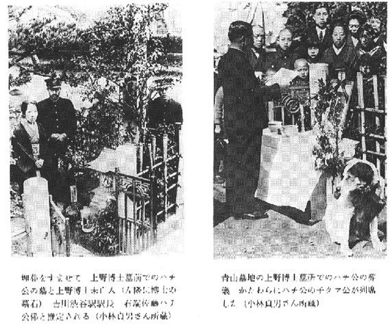 日本历史上真实的忠犬八公的故事，我们来看一看！
