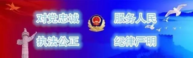 谎称能办无息贷款 骗局败露终被刑拘