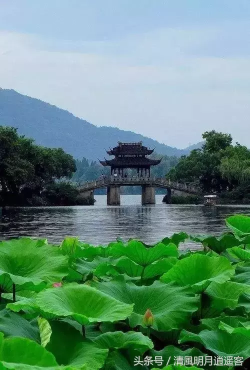 中国的桥，有最浪漫的诗词和你我的前世今生