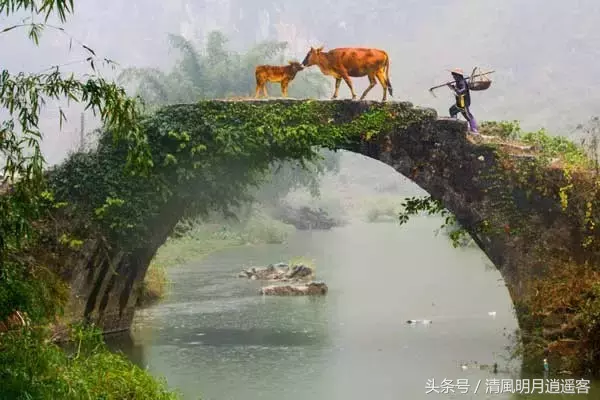 中国的桥，有最浪漫的诗词和你我的前世今生