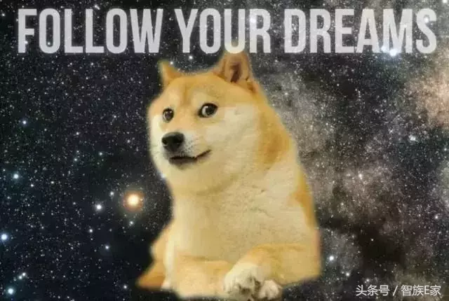 狗狗币DOGE币是什么-图2