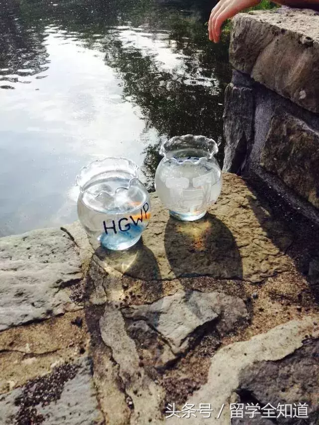 是不是体育生都很渣(遭遇体育狂、数学渣、种族歧视？我挺过来了！)