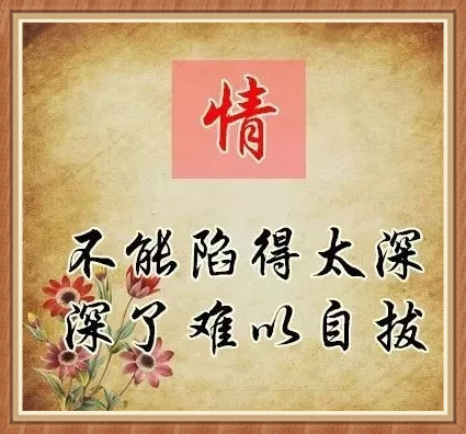 爱，恨，情，善，恶，忍，事……（精辟）