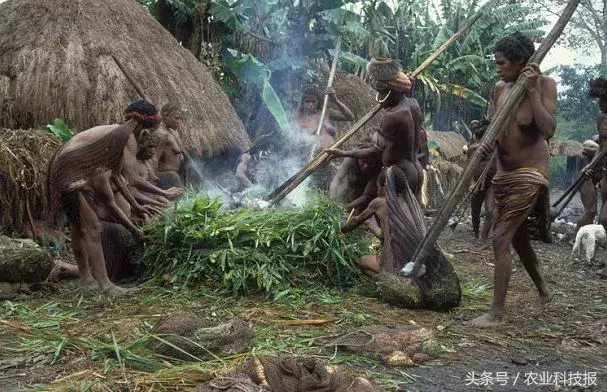 看完这篇“防火经”，感觉老祖先比咱聪明！