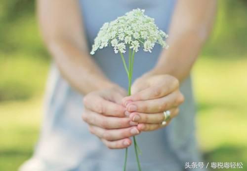 一个会计实习生的心声