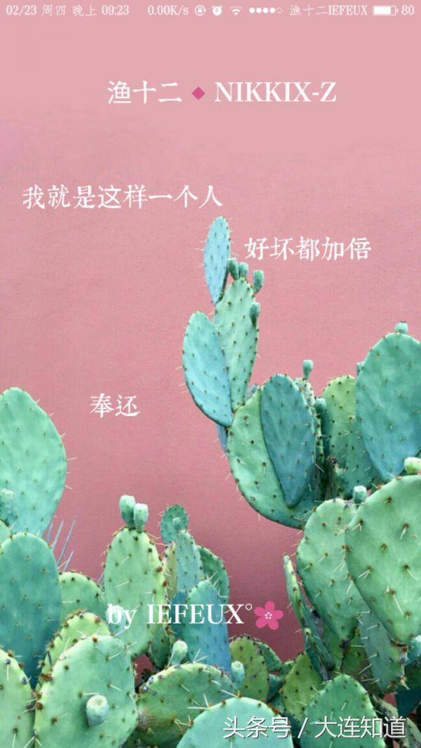 我酷你随意 高清风景带字唯美的句子图片