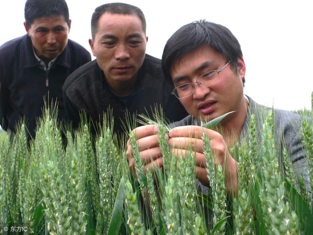 北大设立农学院了，农业真的要崛起了，绝非吹嘘！不信，你看！