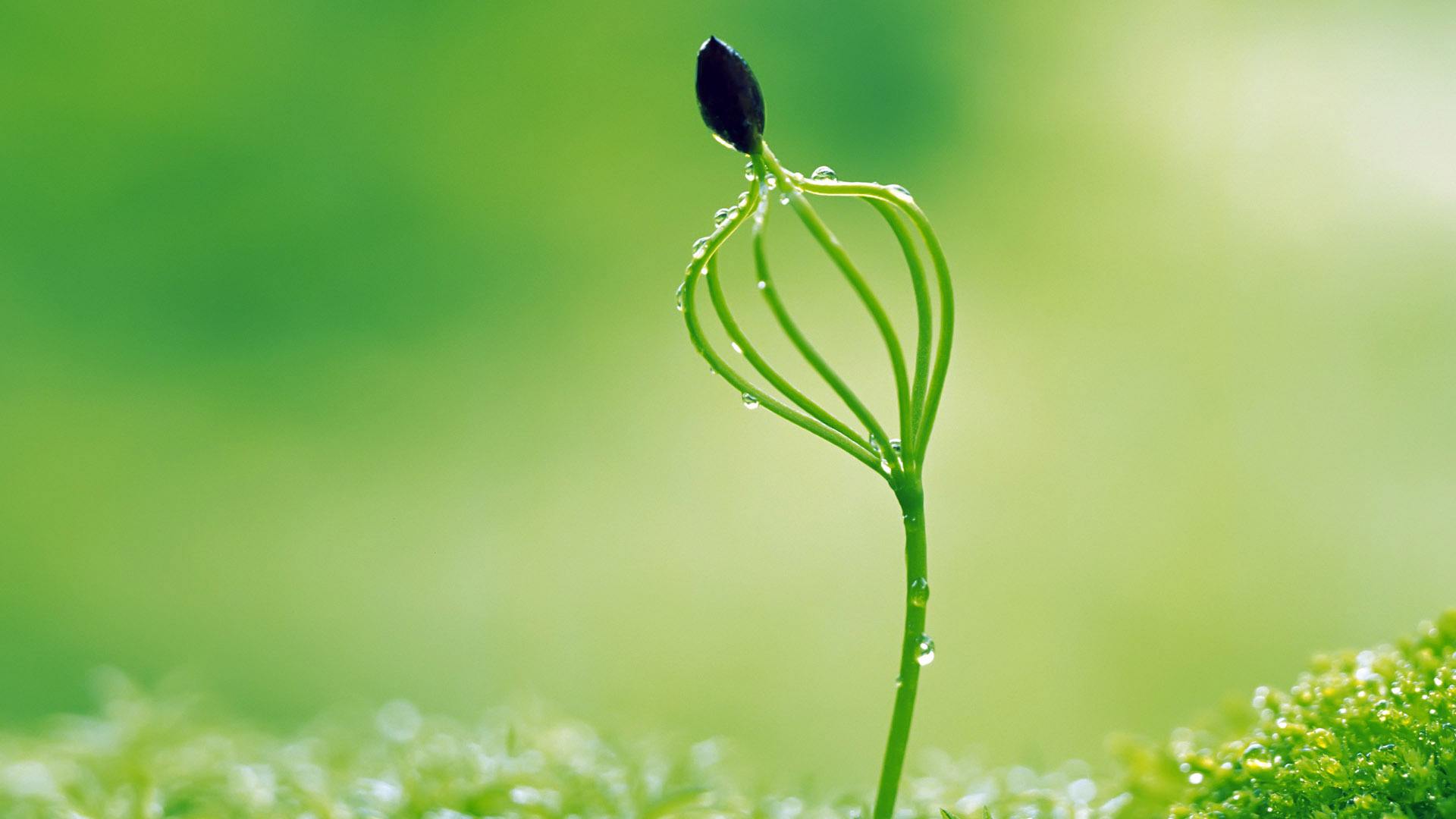 韵味诗句唯美_风韵的诗句 - 齐齐哈尔诗词网