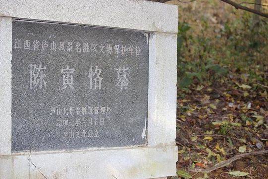 金大足球场电话(国学大师陈寅恪的眼科病历（三）致命打击 双眼失明)