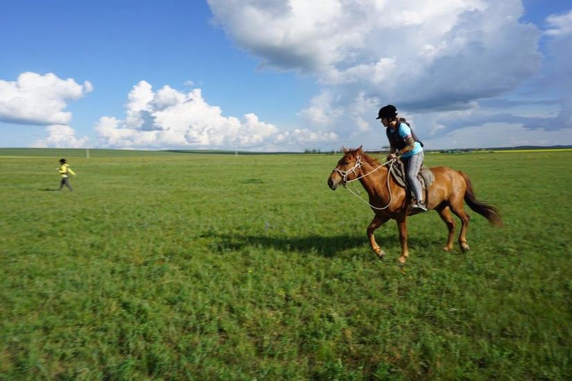 骏马奔驰在辽阔的草原