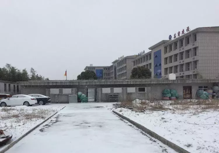 币圈大佬失踪：3月赚两亿收益数千倍，若未失踪将是币圈首富