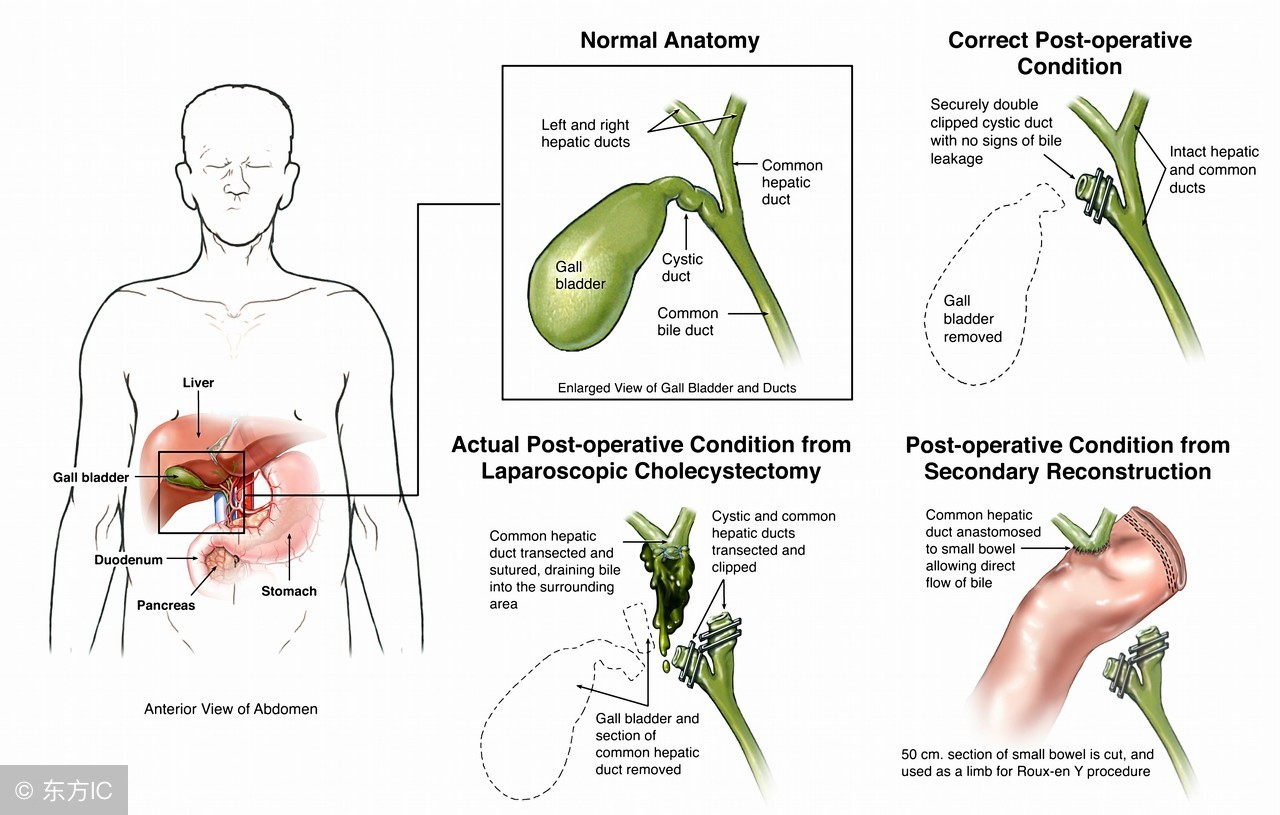 黄帝内经――十二时辰的养生（子时）