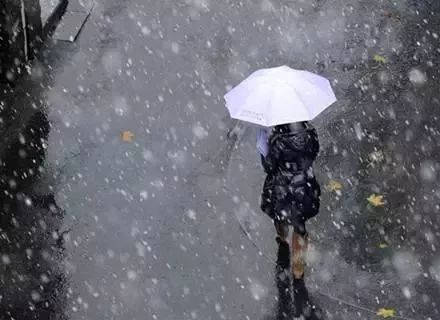 潍坊天气预报查询(网络配图 侵删)我市将出现中雨天气过程