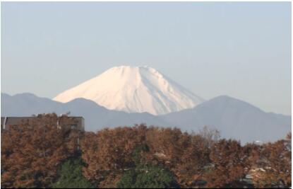 日本赛马世界杯官方网站(日本国民娱乐“赛马”成中国游客最新热门观光项目)