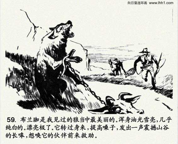 怎样画一只霸气的狼王（怎样画一只霸气的狼王简笔画）-第62张图片-科灵网