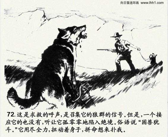 怎样画一只霸气的狼王（怎样画一只霸气的狼王简笔画）-第75张图片-科灵网