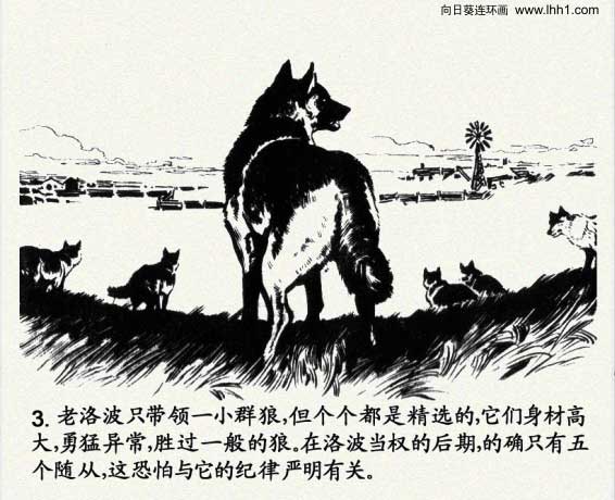 怎样画一只霸气的狼王（怎样画一只霸气的狼王简笔画）-第6张图片-科灵网