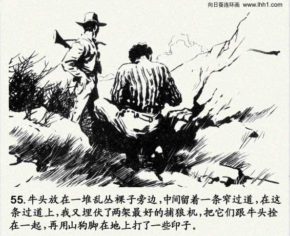 怎样画一只霸气的狼王（怎样画一只霸气的狼王简笔画）-第58张图片-科灵网